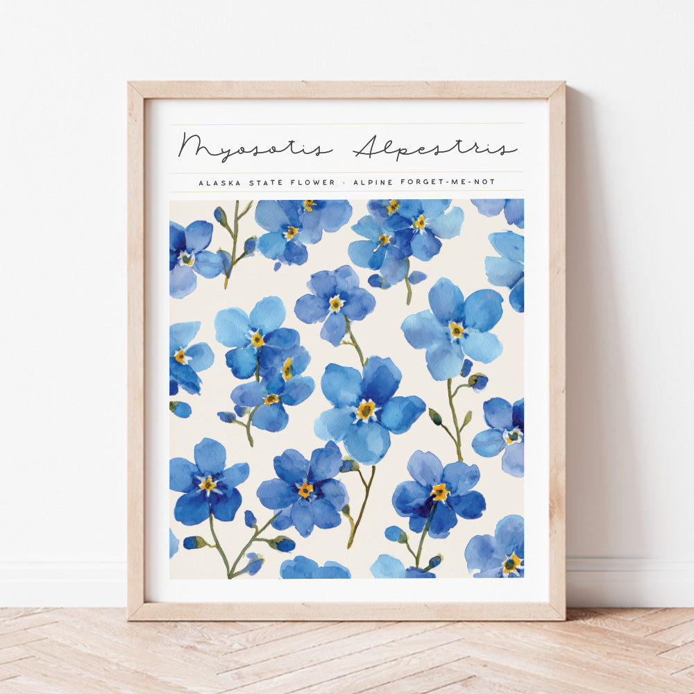 alaska state flower forget-me-not