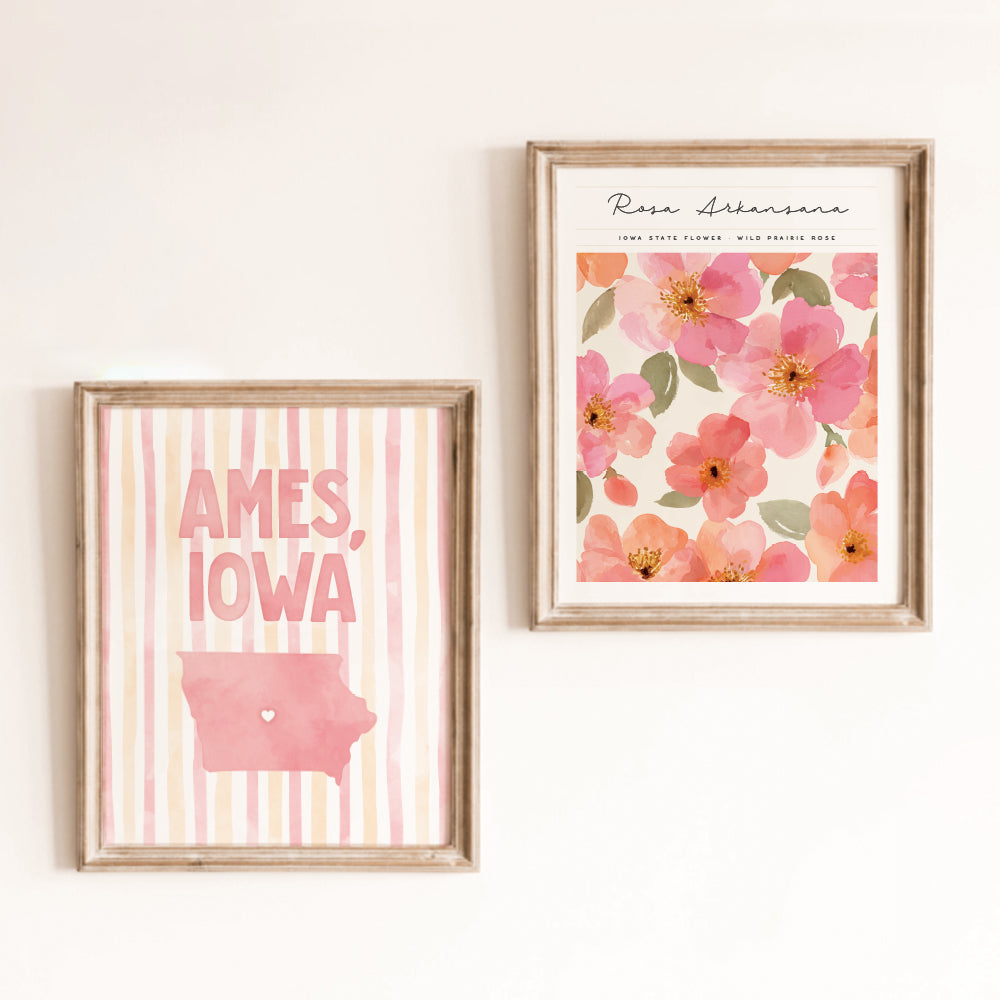 Ames, Iowa Poster