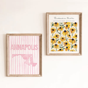 cute annapolis maryland decor
