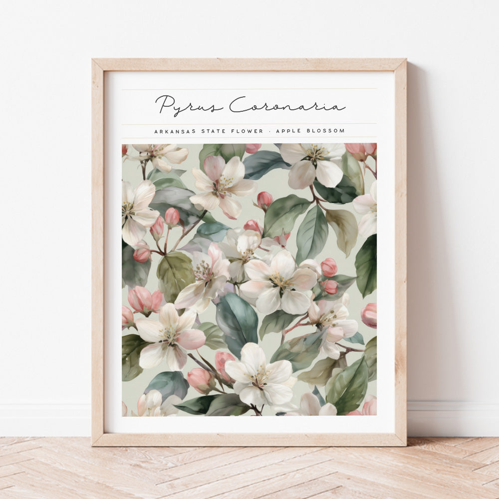 arkansas state flower