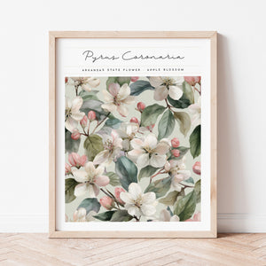 arkansas state flower