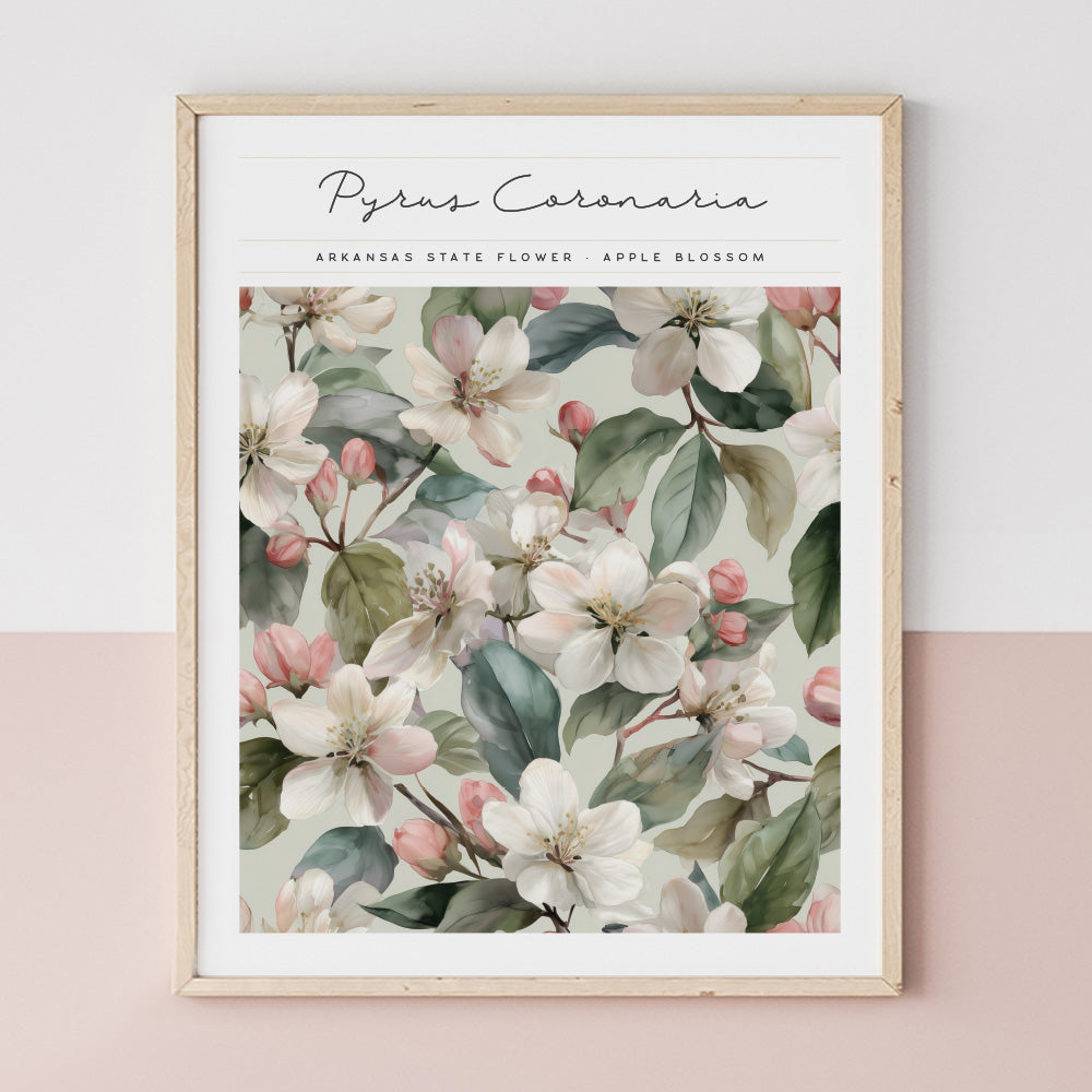 arkansas floral poster