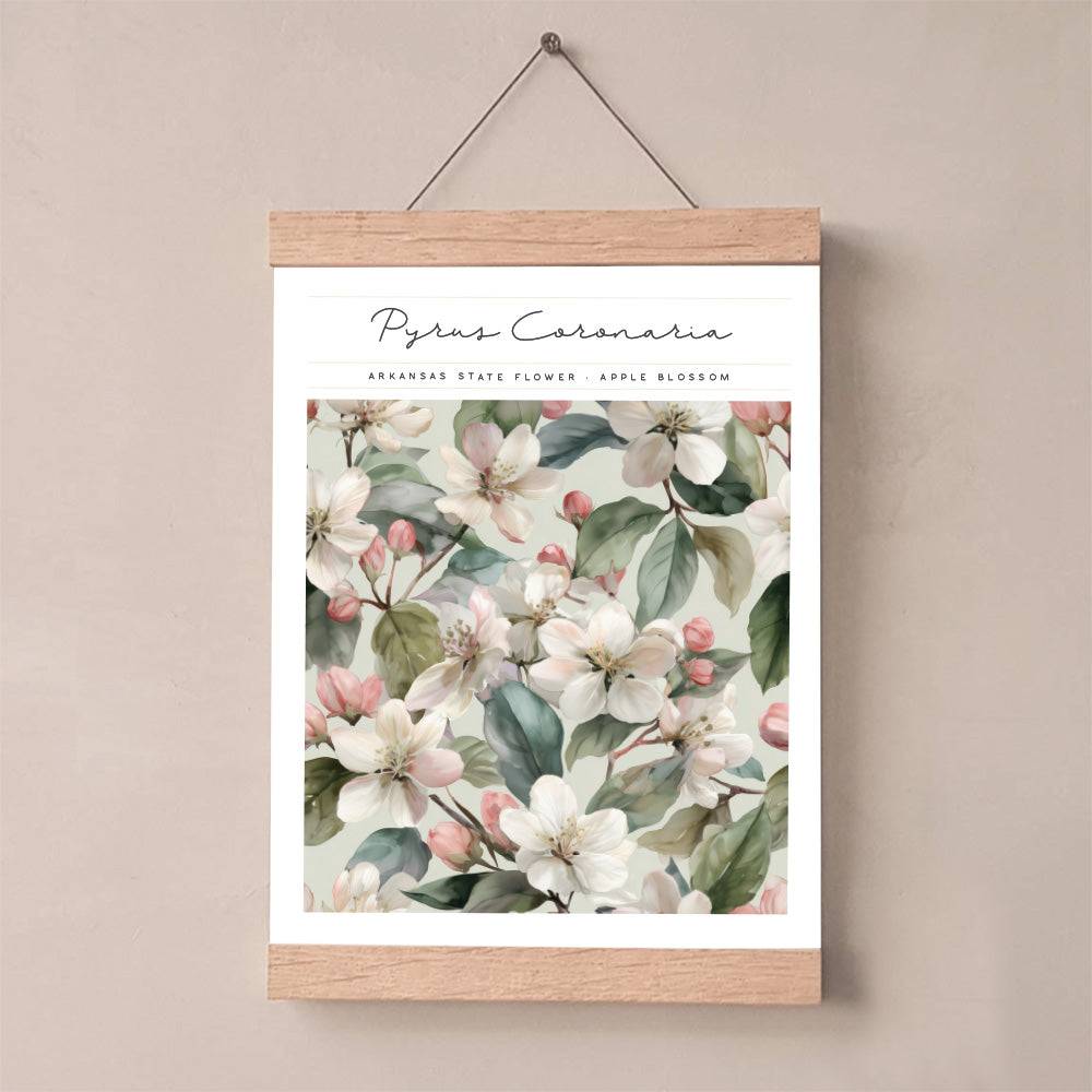 arkansas state flower apple blossom