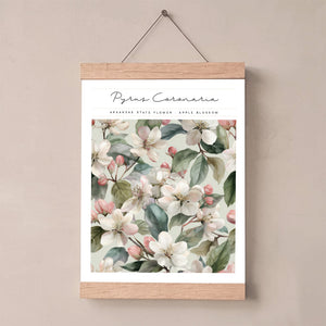 arkansas state flower apple blossom