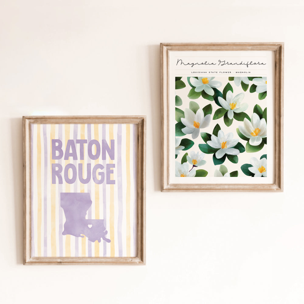 Baton Rouge, Louisiana Poster