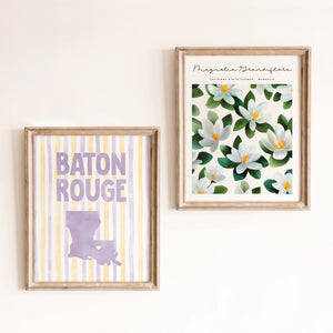 Baton Rouge, Louisiana Poster