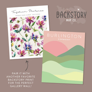 burlington vermont posters