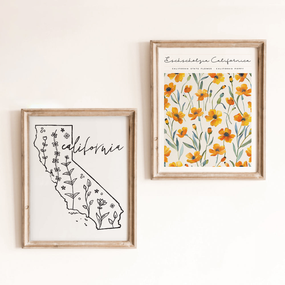 california outline poster