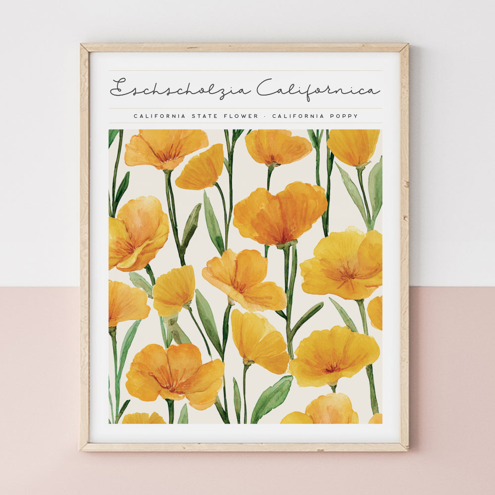 california state flower poppy