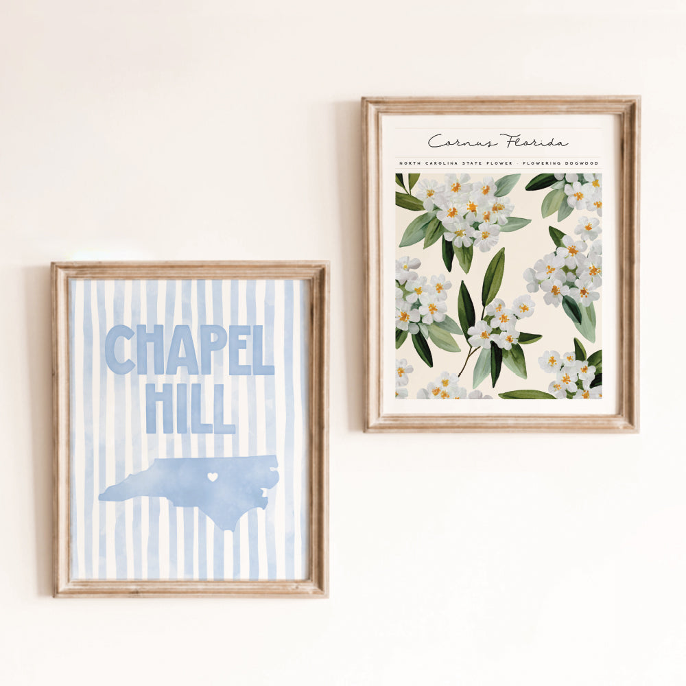 Chapel Hill, North Carolina Poster