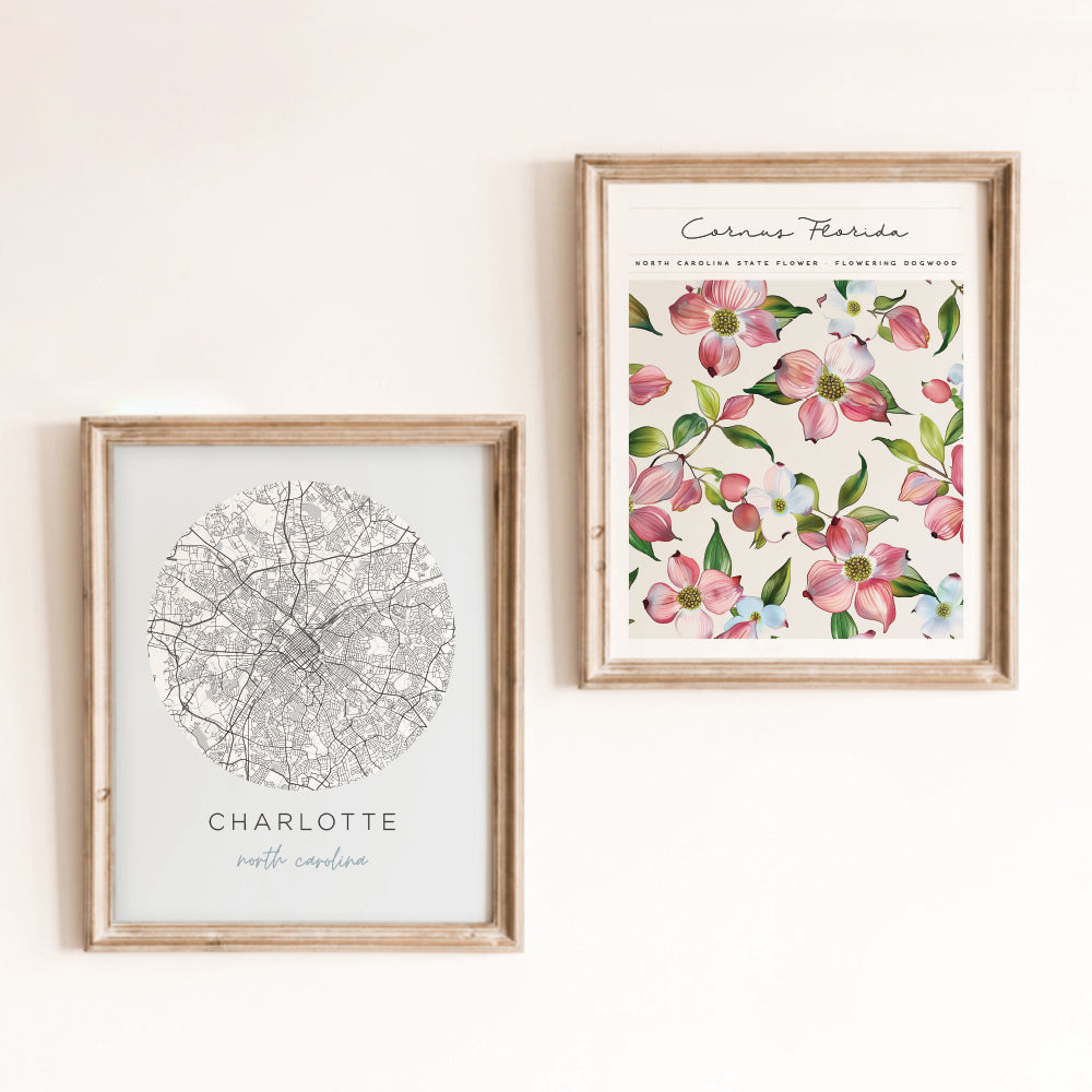 charlotte nc posters