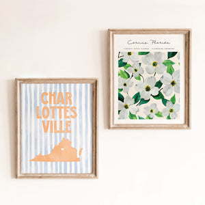 Charlottesville, Virginia Poster