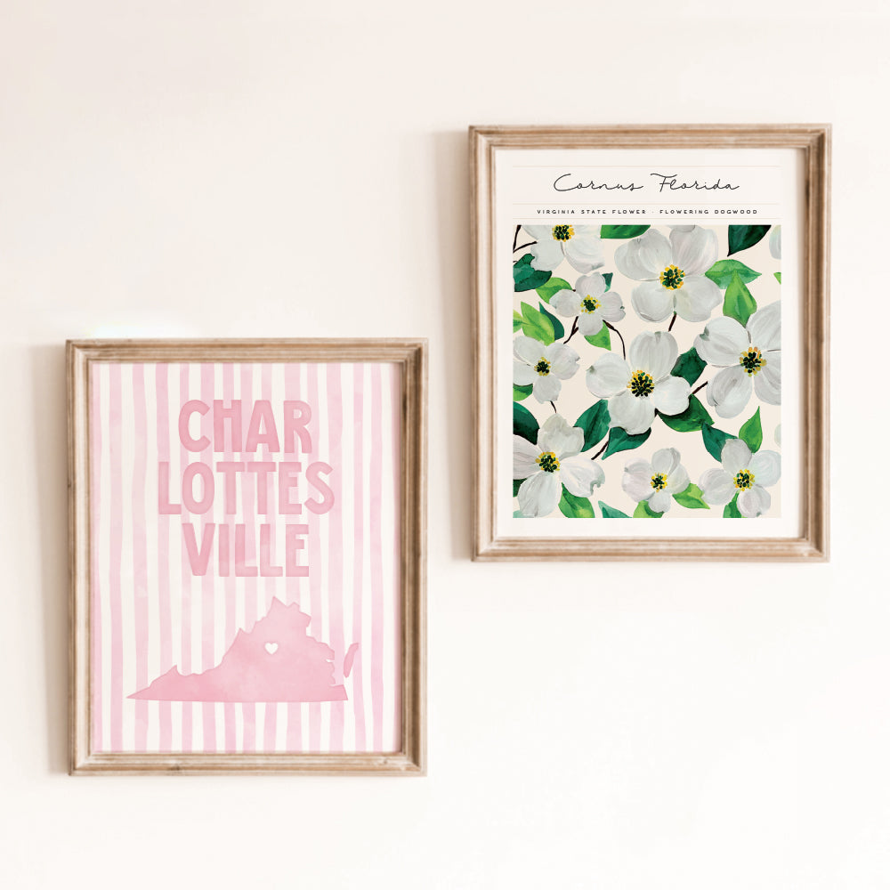 Charlottesville, Virginia Pink Pastel Poster