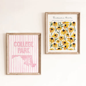 College Park Maryland Poster · College Park Maryland Pink Pastel Wall Art