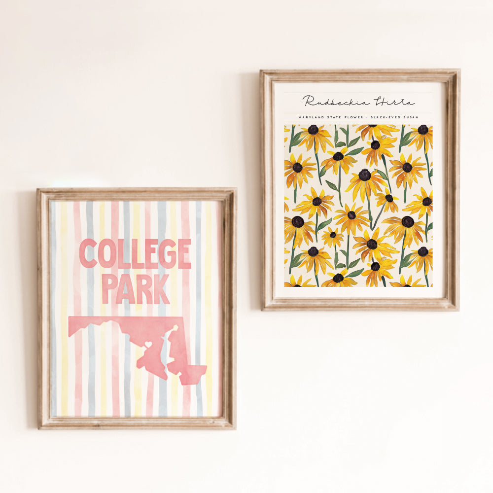 College Park, Maryland Poster