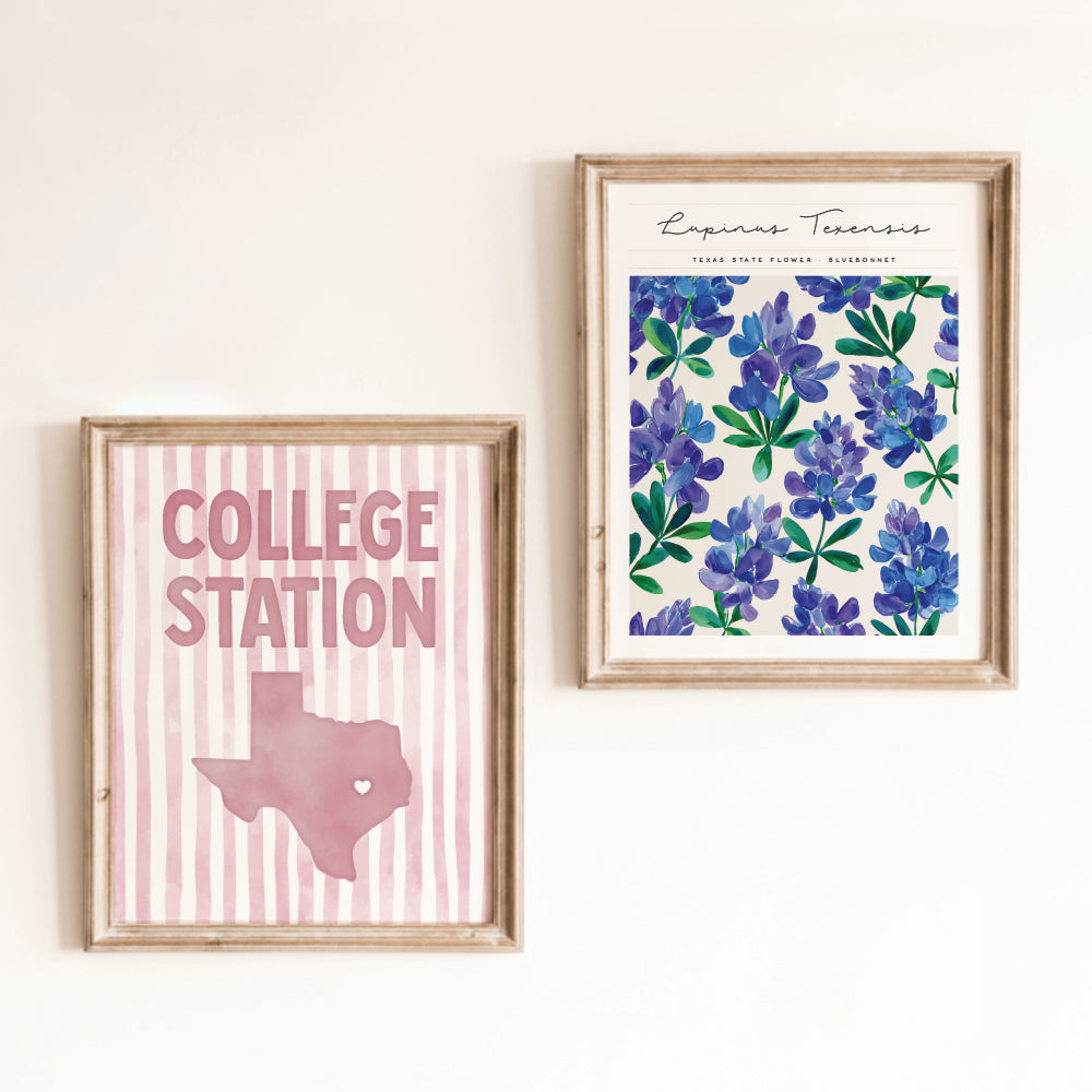 College Station, Texas Poster