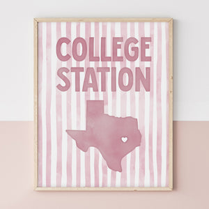 College Station, Texas Poster