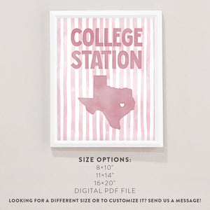 College Station, Texas Poster