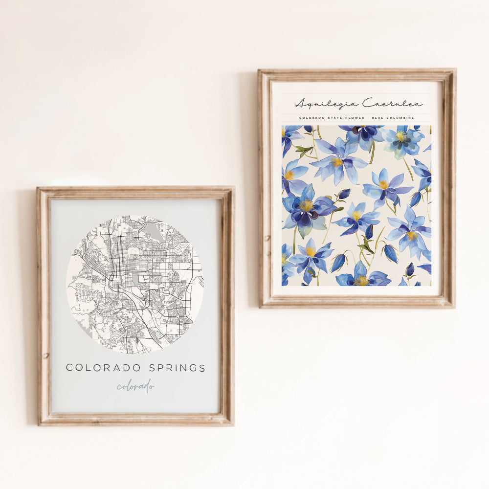 colorado springs posters