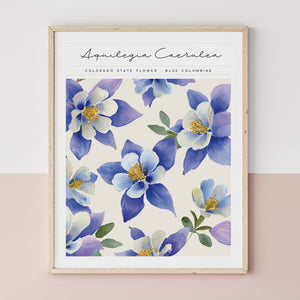 colorado floral wall art