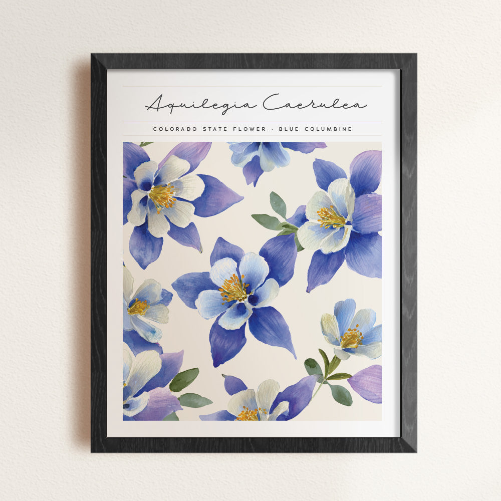 colorado state flower poster