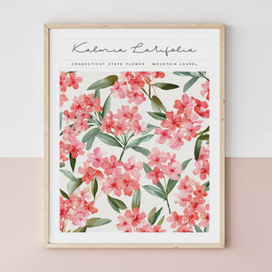 connecticut state flower mountain laurel