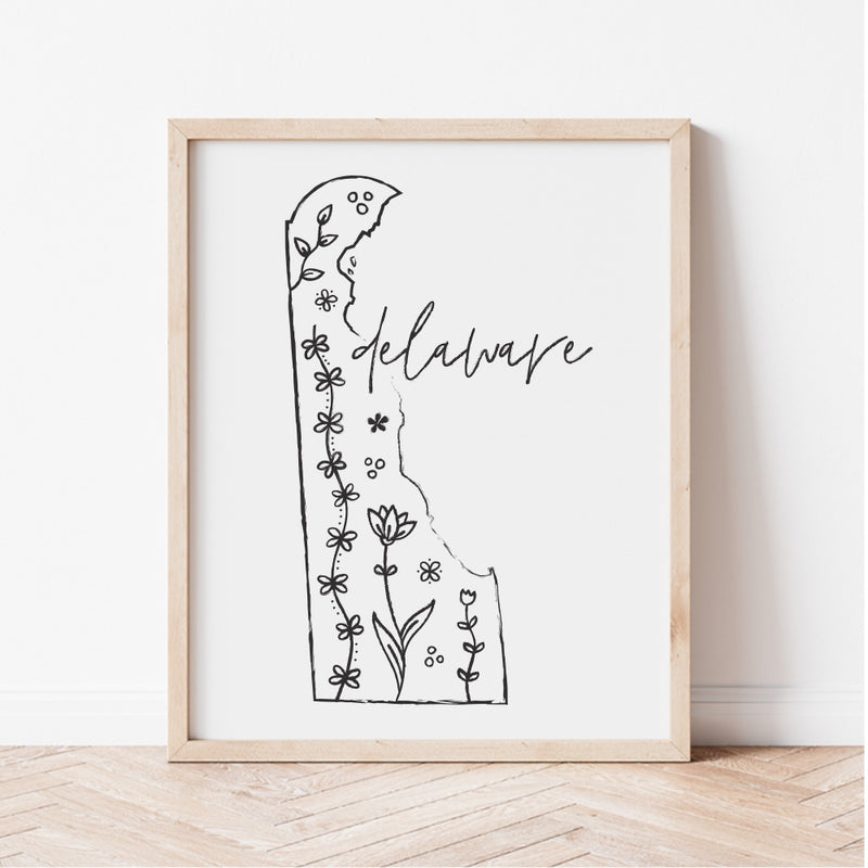 delaware outline