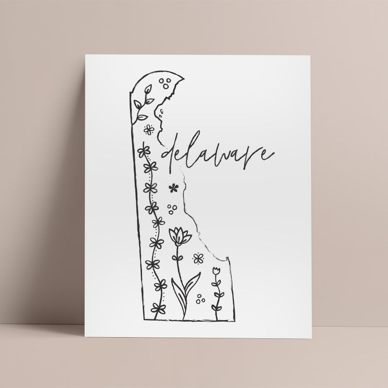 delaware outline