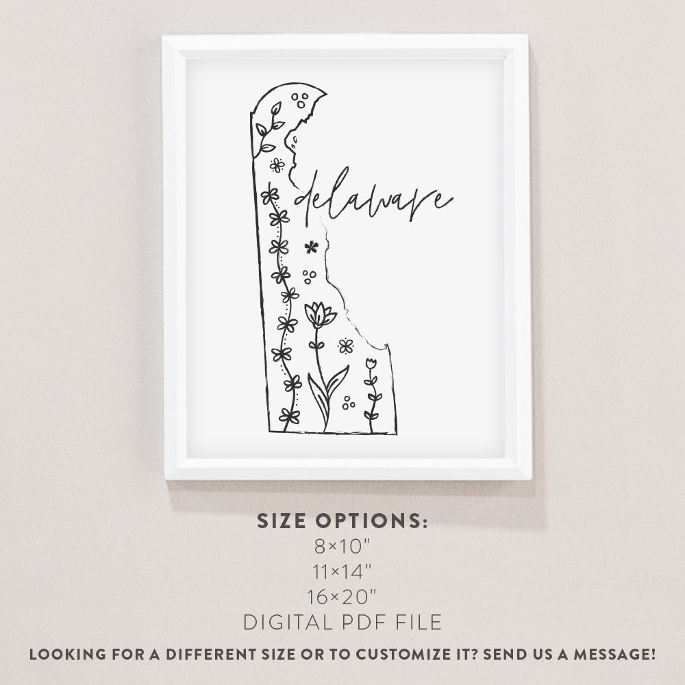 delaware outline