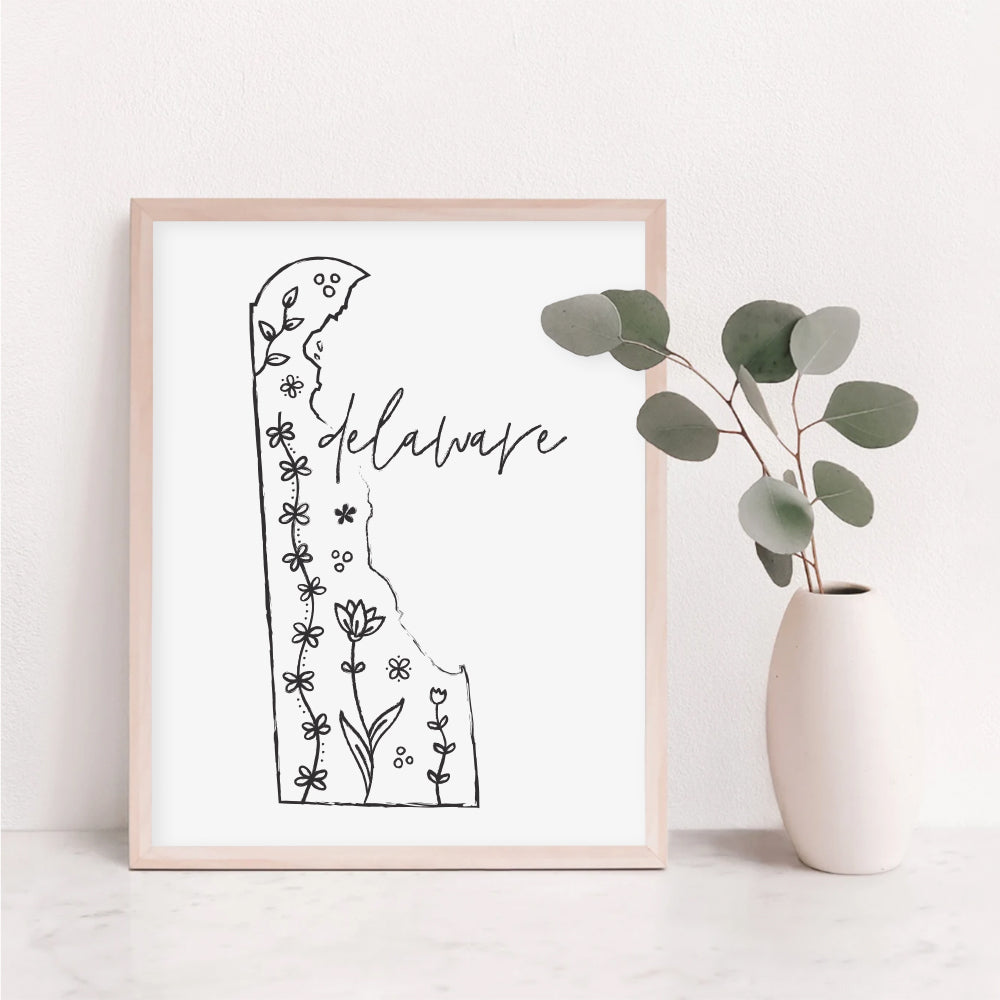 delaware outline