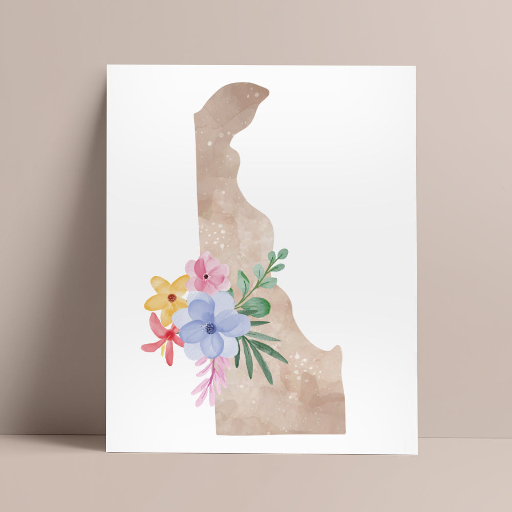 delaware map poster