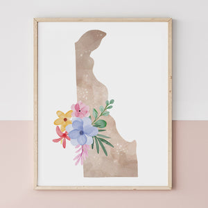 delaware map poster
