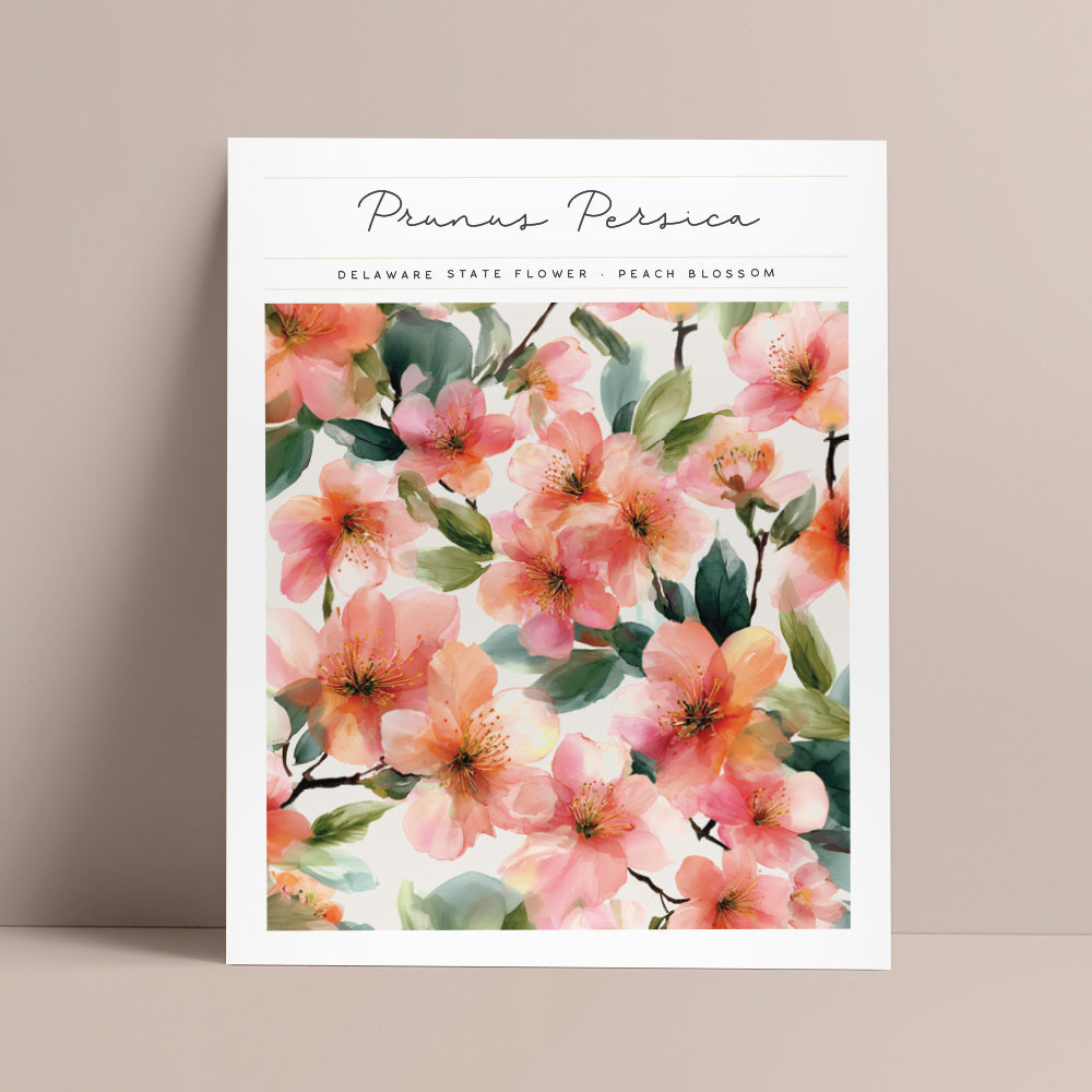 delaware state flower peach blossom