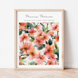 delaware state flower poster