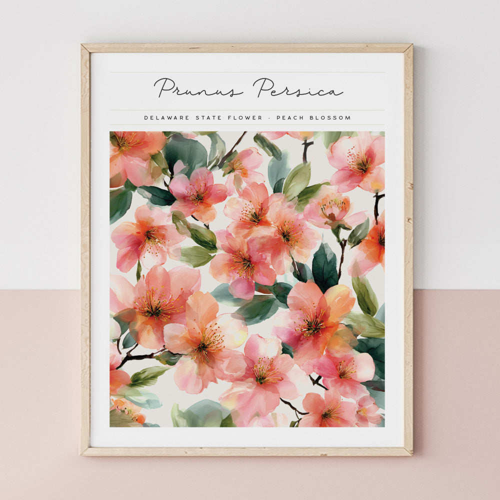 delaware state flower art print