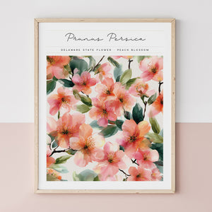 delaware state flower art print