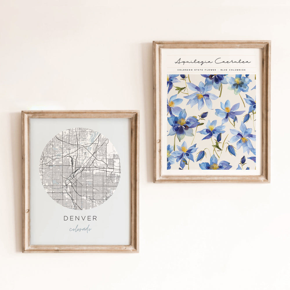 denver colorado wall art