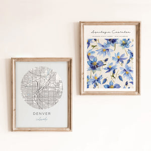 denver colorado wall art