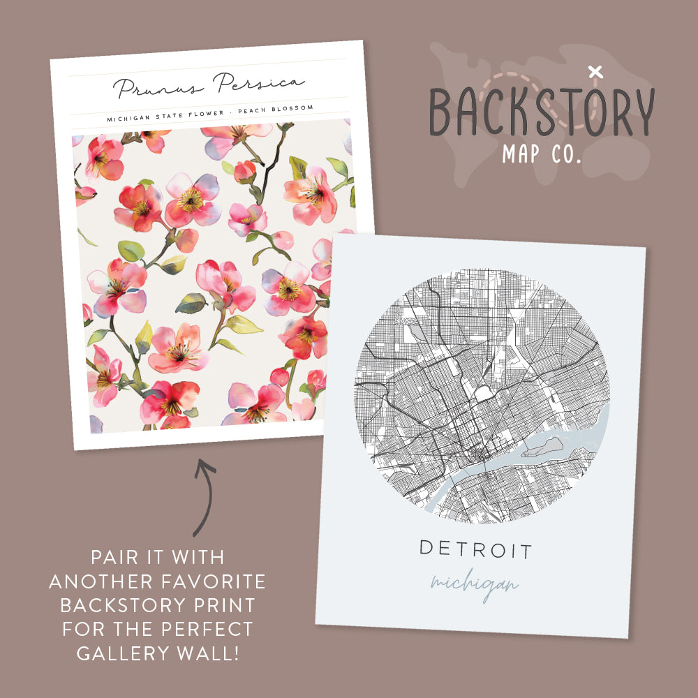 detroit map posters