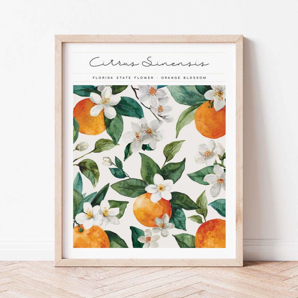 florida state flower orange blossom