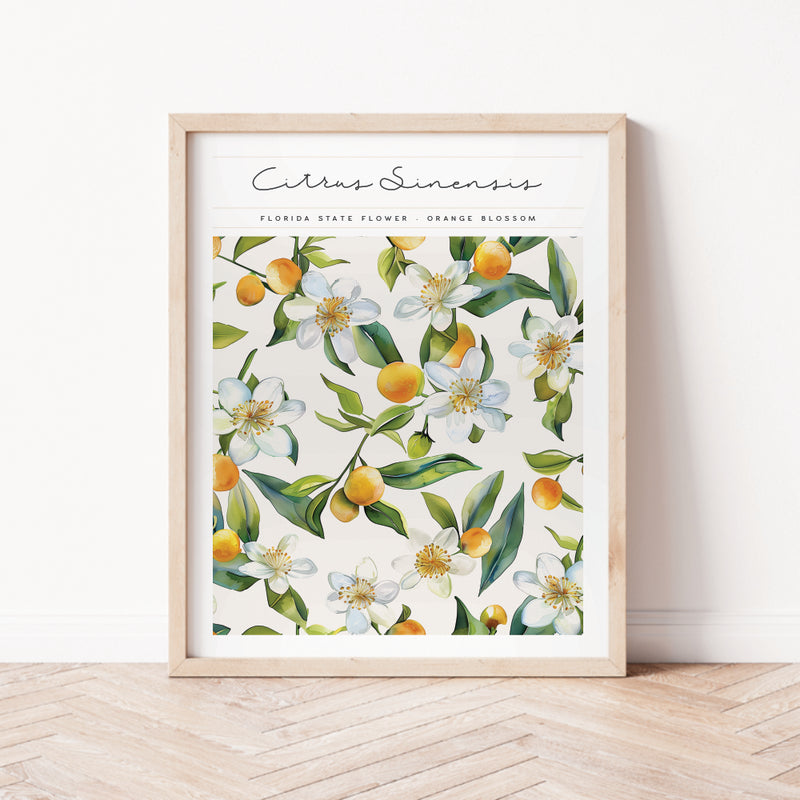 Florida State Flower