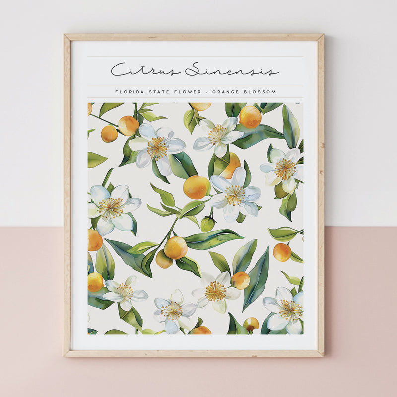 Florida State Flower