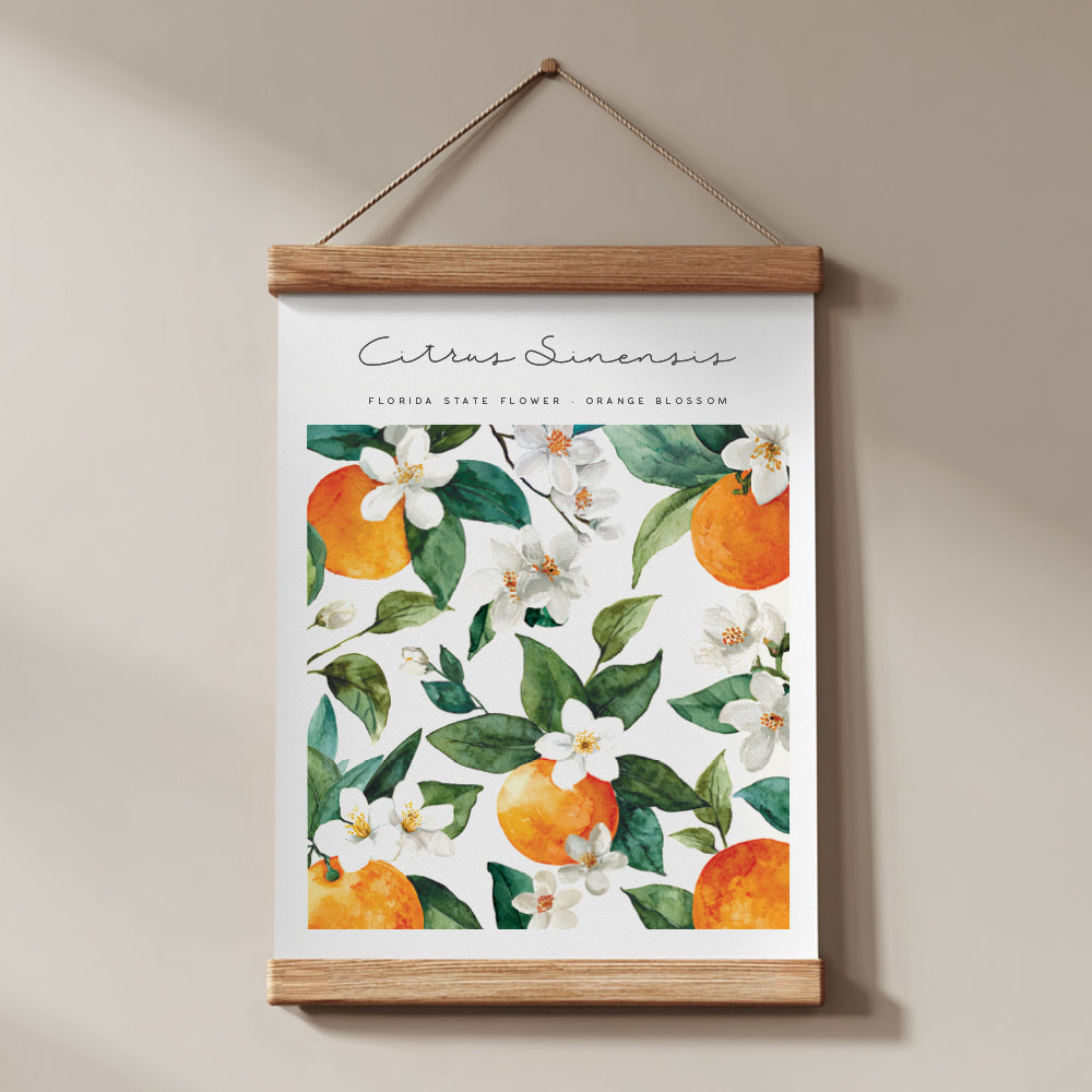 florida state flower art print