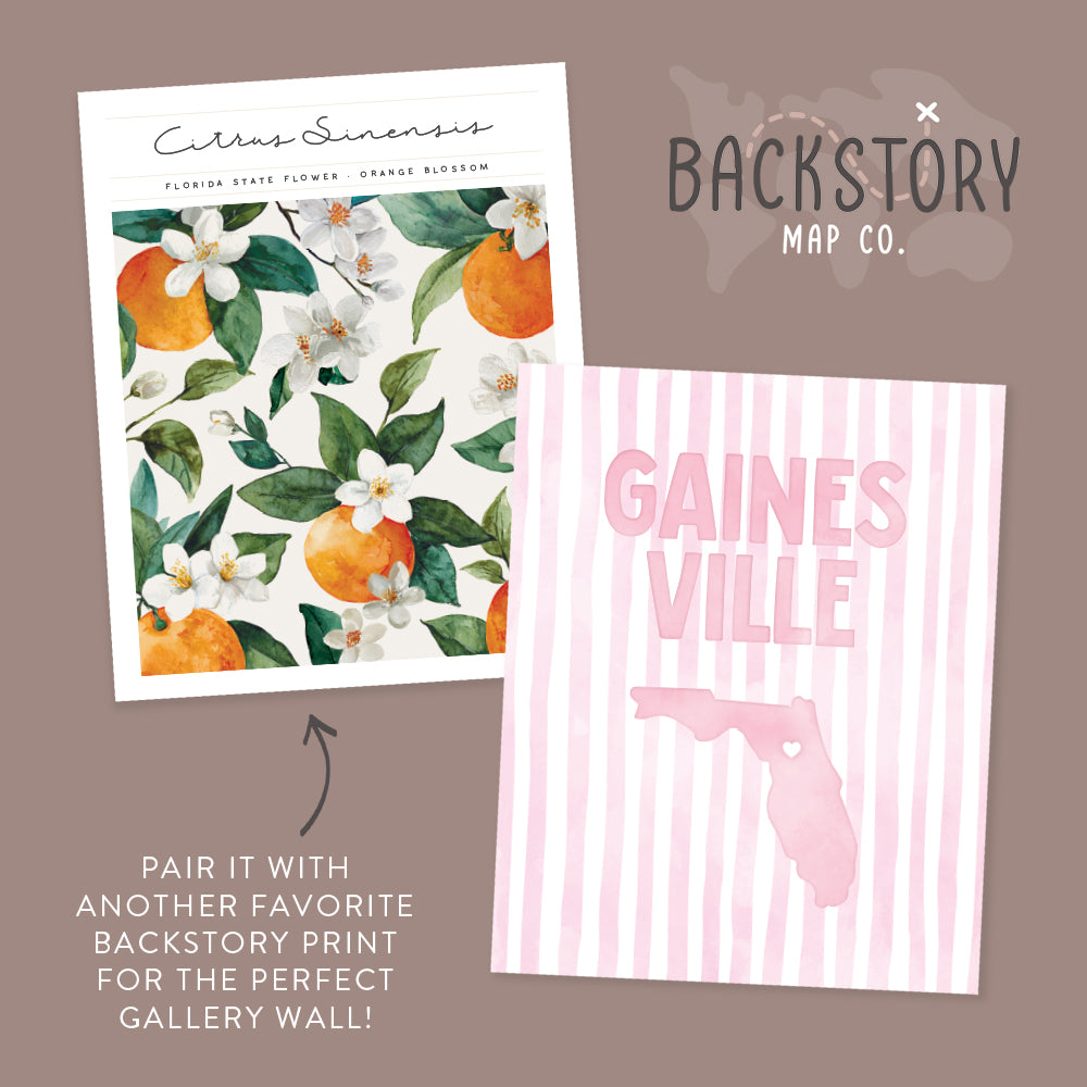 Gainesville, Florida Pink Pastel Poster
