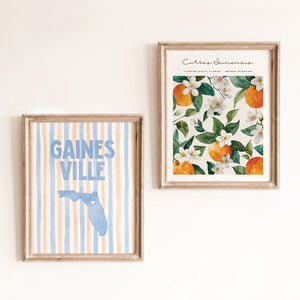 Gainesville, Florida Poster