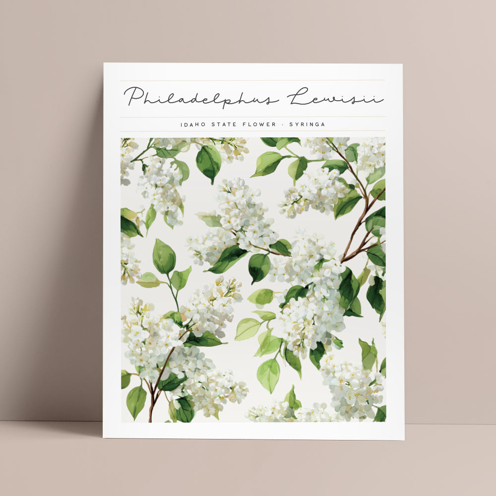 idaho state flower syringa