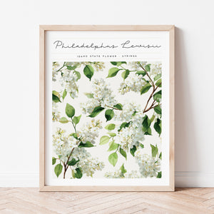 idaho state flower wall art