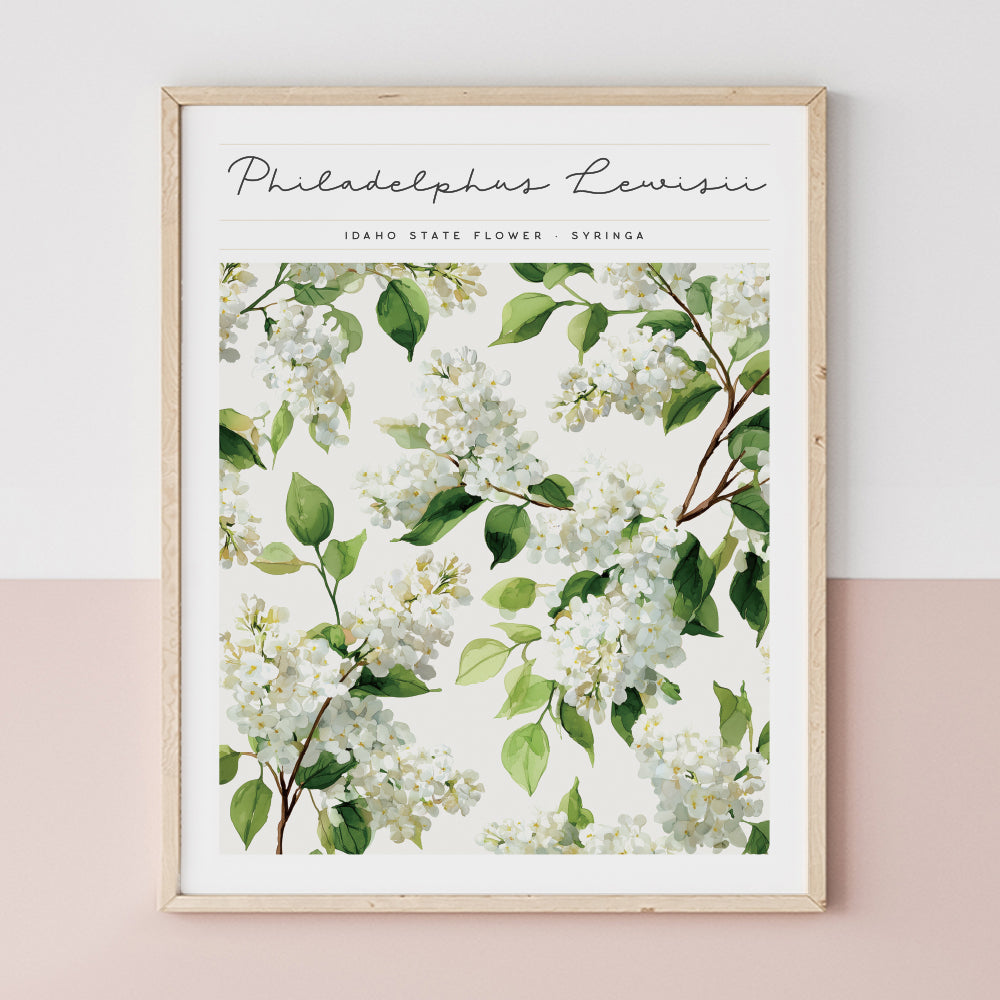 idaho state flower poster