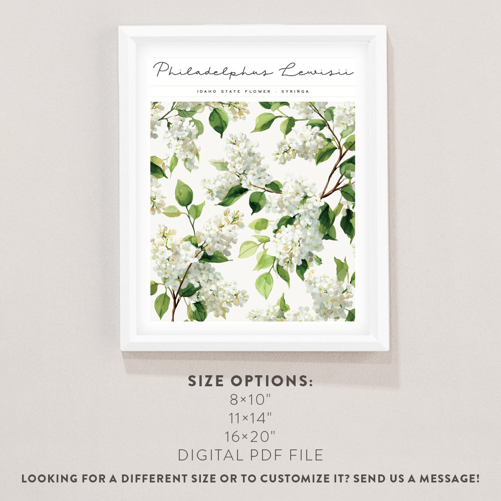 idaho state flower wall art