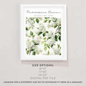 idaho state flower wall art